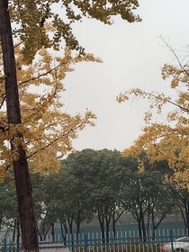 回憶藏在心里