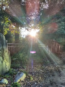 陳列館路
