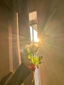 當光落在身上的時候