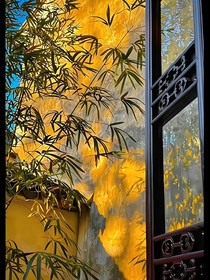 浅哀的小确幸