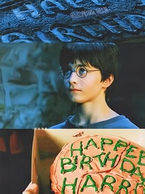 HP：哈利和金妮的婚后生活