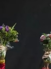 随风而绽放
