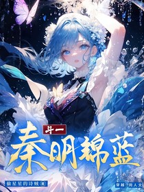 斗一：秦蓝明锦