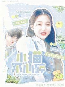 TNT：小猫不心碎