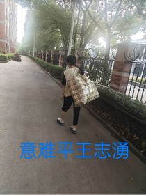 意难平王志湧
