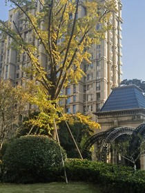 小小隨筆集