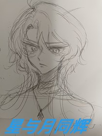 星与月同辉