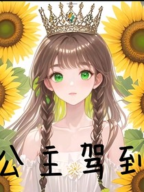 公主駕到（我竟和大佬在一起了）