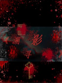 溯影寻谜