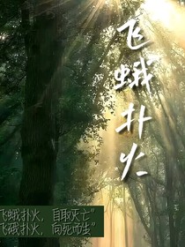 飛蛾撲火，向死而生