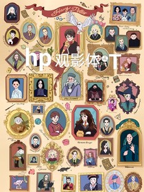 hp观影体T
