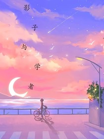 影子与学者