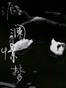 派瀾憬夢