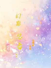 幻影忍者：见黎明落晓