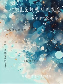 向星星许愿划过夜空