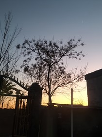 回到次元游戏