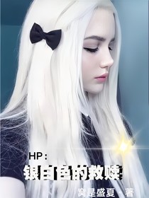 HP：银白色的救赎