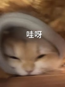 穿越后我只想吃美食