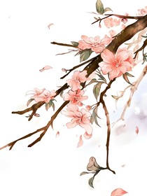 国师养成计划
