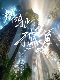 蝉鸣止于夏天