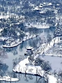 爱人（楼诚）