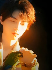 all蒲：浴火重生之拨云见日