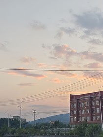 夏枝景