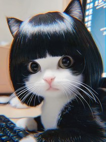 会唱爱情买卖的萝卜