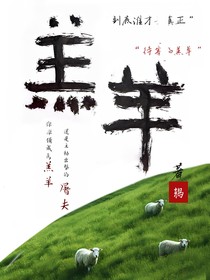 羔羊——陈叶鸫