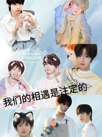 我们的相遇是注定的