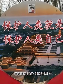 刺客王朝