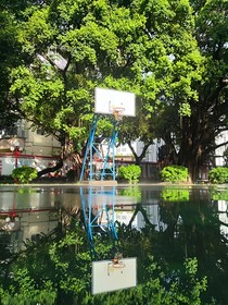 那个夏天）