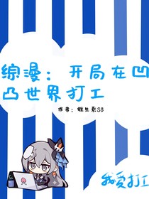 综：开局在凹凸世界打工