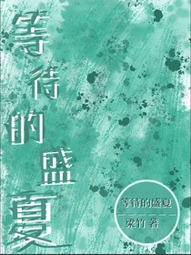 等待的盛夏