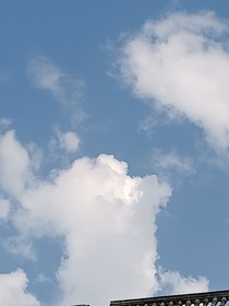 我總想讓你去往你的自由