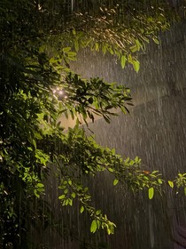 青雨：訕笑