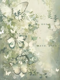 蝉鸣不止的夏季