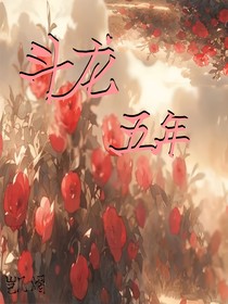 斗龙：五年