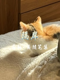 隔岸relation