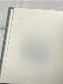 折絮柳
