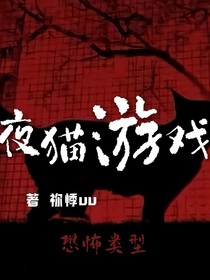 夜猫游戏（1）