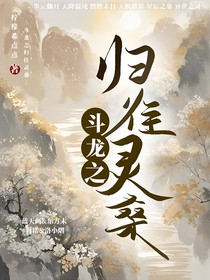 斗龙之归往灵桑