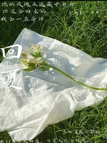 回夏天