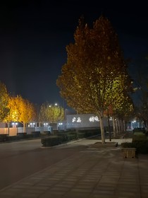源泉416