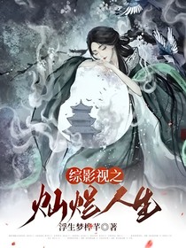 综影视之灿烂人生