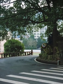 暗恋的日子……