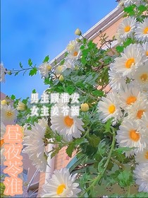 昼夜苓淮