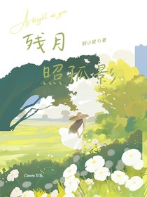 殘月照孤影