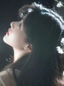 综影视：银铃回响