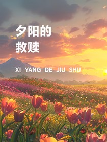 夕阳的救赎
